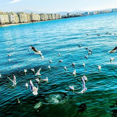 Apartament Center Near The Sea And Metro! Unique Crystal With Amazing View *