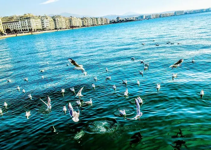 Apartment Center Near The Sea And Metro! Unique Crystal With Amazing View *